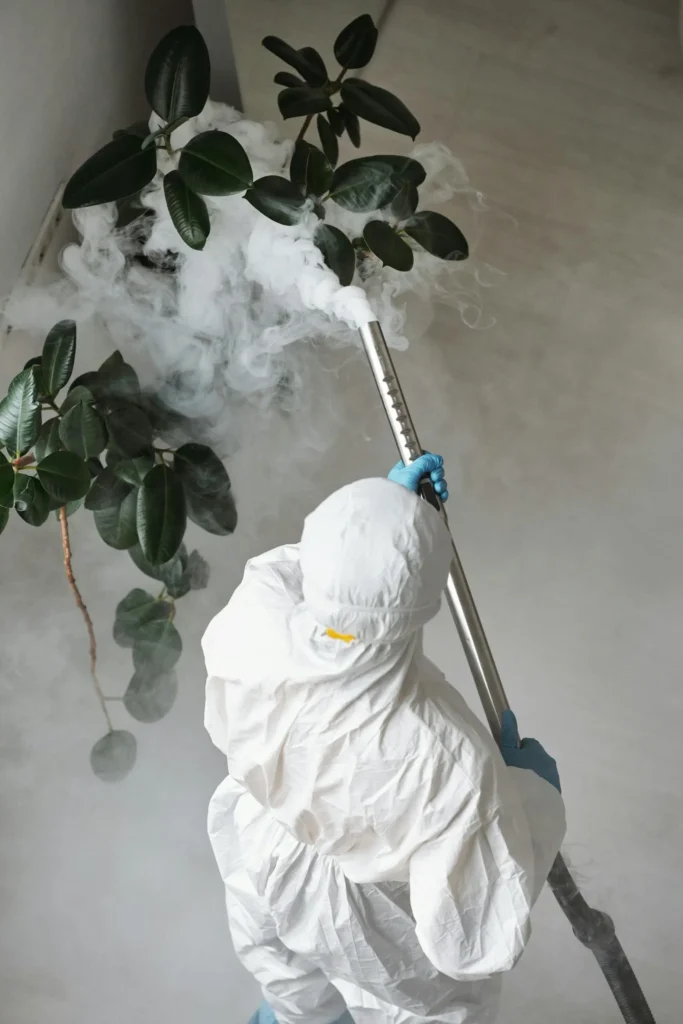 Trusted Pest Control - Pest Control Pros | Bayonne, NJ | 551-383-3662