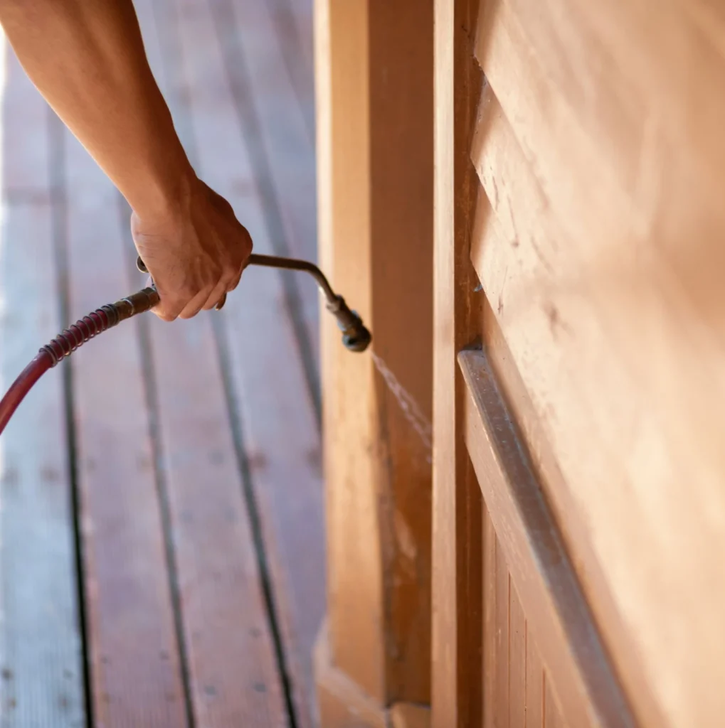 Trusted Pest Control - Pest Control Pros | Bayonne, NJ | 551-383-3662